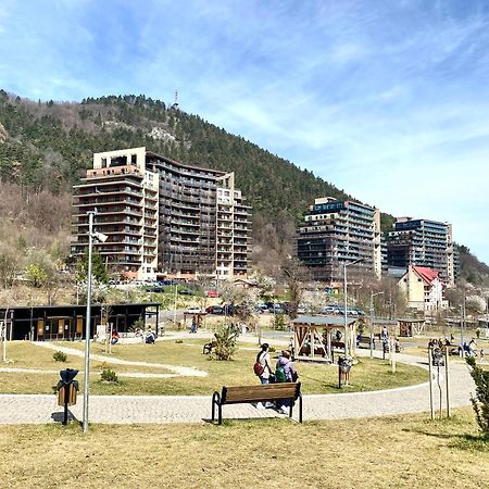 Nature Escape Apartment Brasov Bagian luar foto