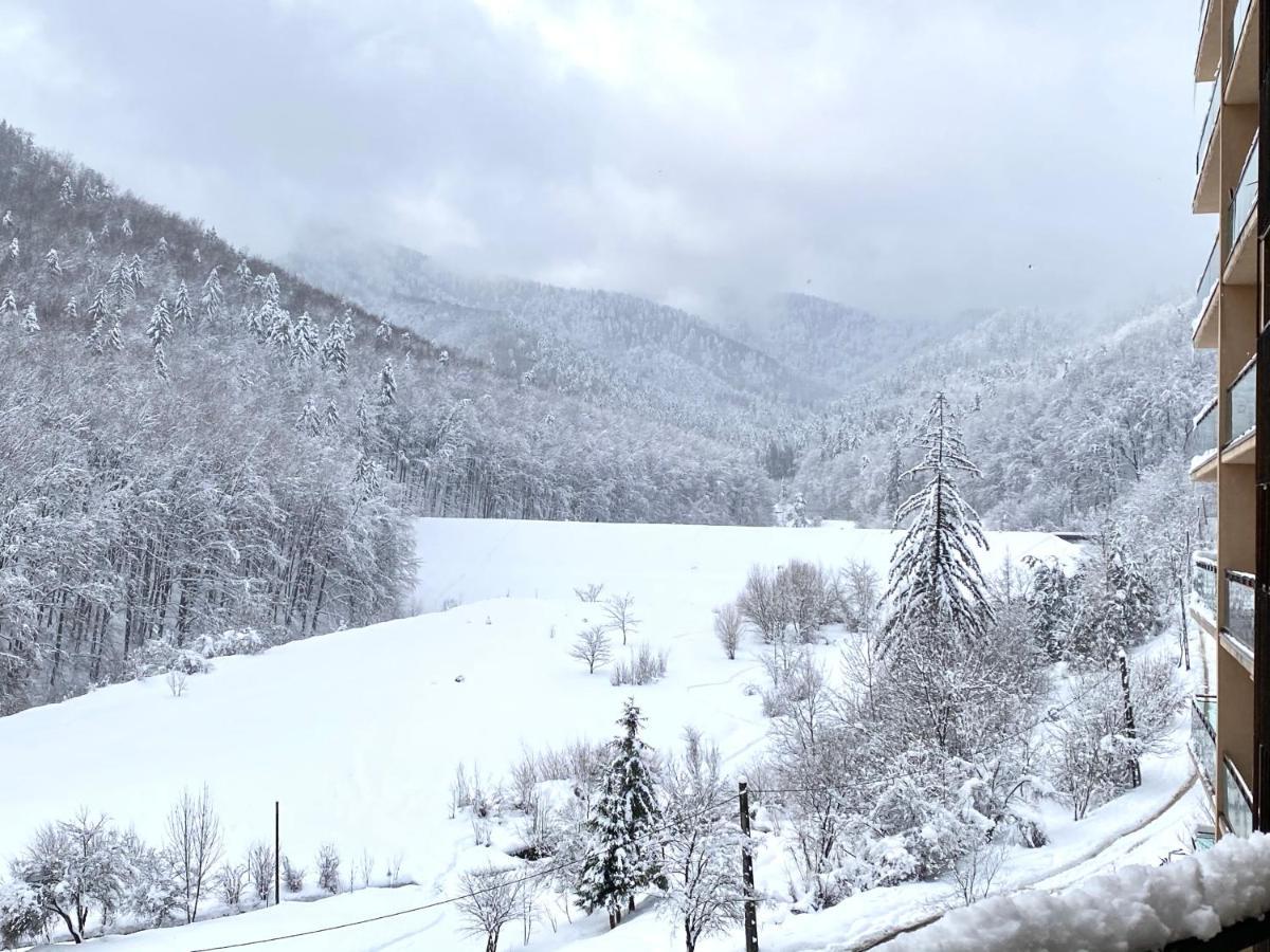 Nature Escape Apartment Brasov Bagian luar foto